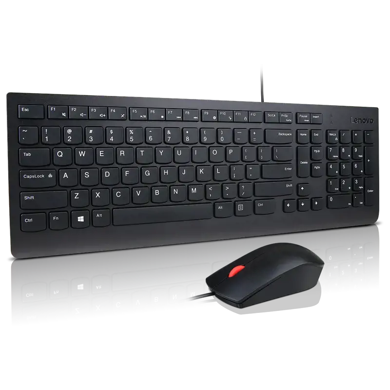 LENOVO Essential laidinė kombinuotoji klaviatūra ir pelė Lietuvių 494