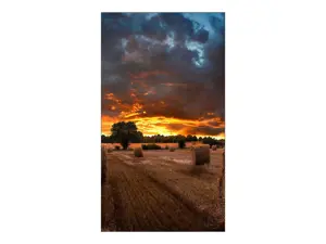 "Samsung VM55B-U", 0,63 x 0,63 mm, 500 cd/m², 139,7 cm (55"), 1920 x 1080 taškų, "Full HD", IPS