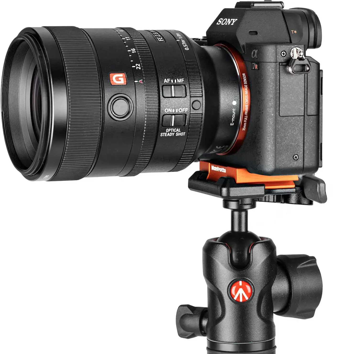 "Manfrotto" trikojo rinkinys "Befree Advanced Alpha" MKBFRLA-BH