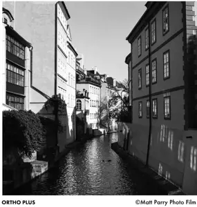 Ilford plėvelė Ortho Plus 135-36