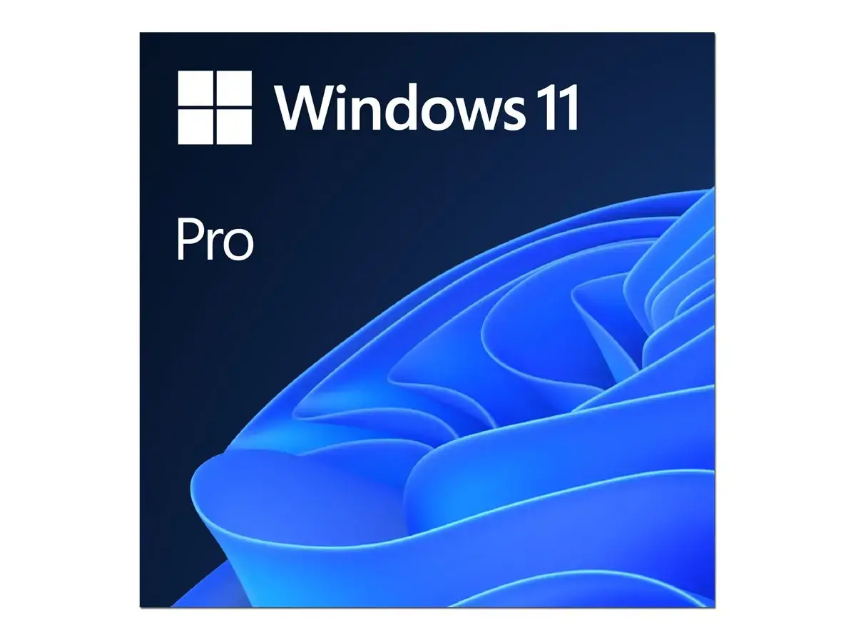 MS ESD Windows Professional 11 64 bitų Visos kalbos Online Produkto raktas Licencija 1 licencija Atsisiunčiama ESD NR