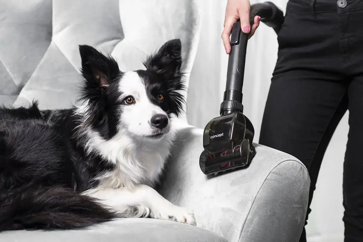 Concept VP5151 Furious Animal bagless vacuum cleaner