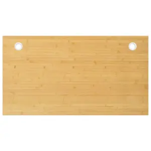 Rašomojo stalo stalviršis, 100x60x2,5cm, bambukas