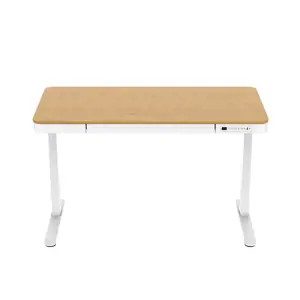 Reguliuojamo aukščio rašomasis stalas ET119W-C White/Oak