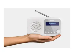 "Sharp DR-P420", nešiojamasis, skaitmeninis, DAB, DAB+, FM, automatinis nuskaitymas, automatinis derinimas, 2 W, AAC