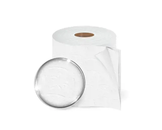 Tualetinis popierius AMOOS rulonuose su perforacija, 2 sluoksniai, 12 ritinėlių