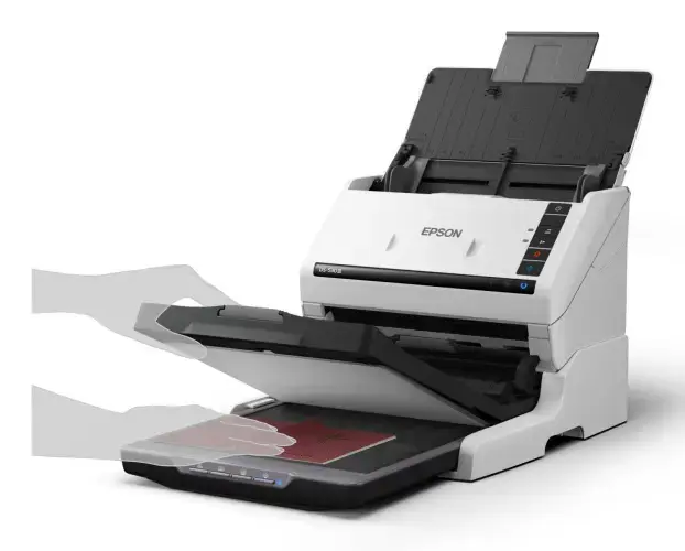 Epson WorkForce DS-530III Skeneris spalvotas A4 40 ppm 600x600 DPI, Duplex, ADF, USB