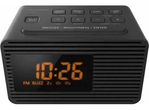 Panasonic RC-800 Black