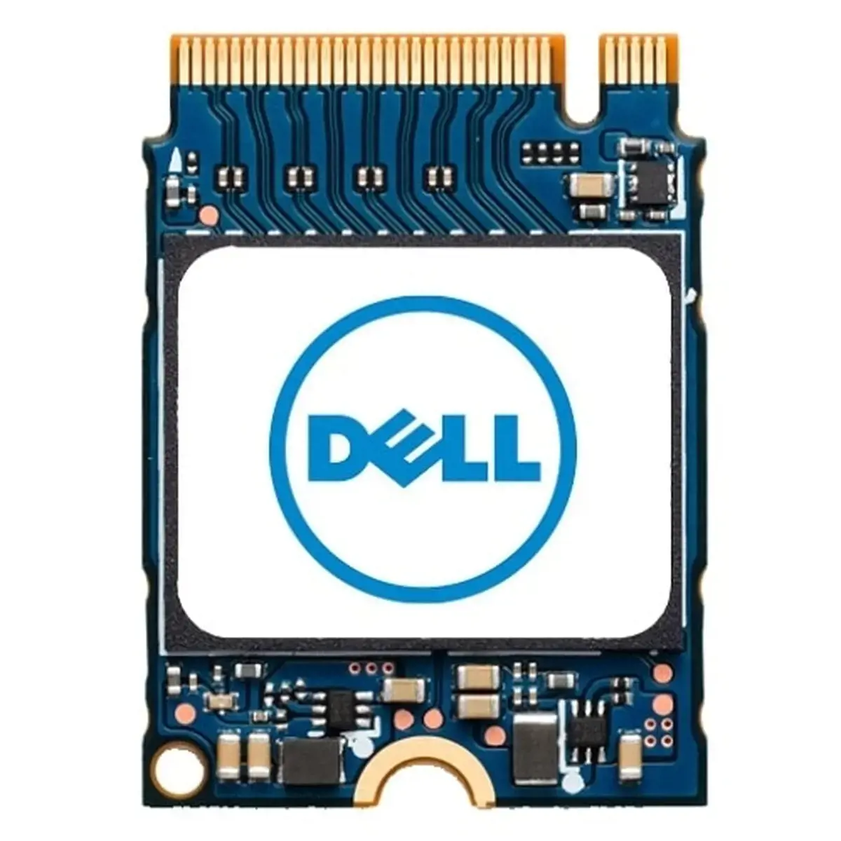 SSD diskas Dell 5397184578834 1000 GB, M.2, PCI Express