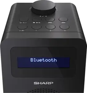 Sharp DR-430, asmeninis, skaitmeninis, DAB, DAB+, FM, 5 W, AAC, LCD
