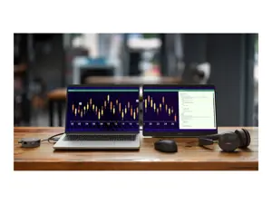 Dell Pro 14 Plus P1425 Nešiojamas monitorius 14'' IPS WUXGA 1920x1200 7 ms 400 cd/m2 60 Hz, Silver