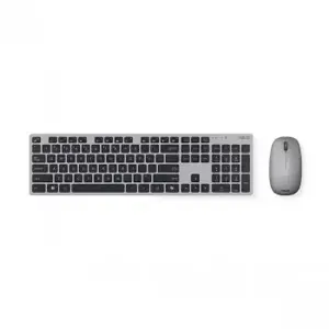 ASUS W5000, pilno dydžio (100%), RF belaidis, pilka, pelė pridedama