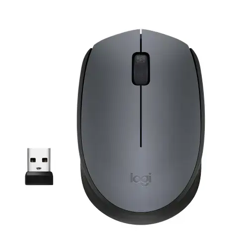 LOGITECH M170 belaidė pelė pilkos spalvos
