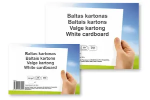Kartonas SMLT, A4, 300 g, baltas, (10)  0708-101