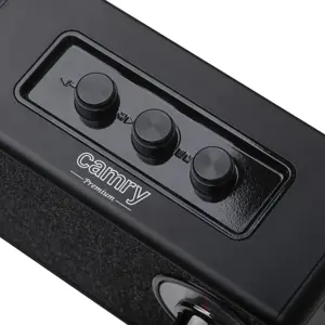 Camry | Speaker with radio | CR 1902 B | Black | Wireless connection
