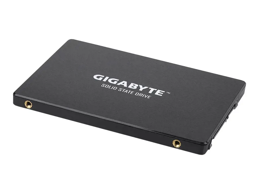 SSD diskas GIGABYTE GP-GSTFS31256GTND 256 GB, 2.5", Serial ATA III