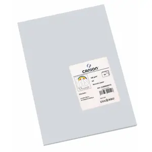 Kortelės Iris 29,7 x 42 cm Pearl Gray 185 g (50 vnt.)