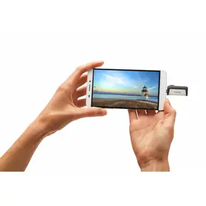 ATMINTIES KAUPIKLIS FLASH USB-C 256GB/SDDDC2-256G-G46 SANDISK