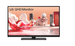 LG DESKTOP MONITOR 27BA75QB 27” QHD IPS MONITOR, USB-C WITH DAISY CHAIN