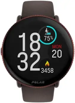 Polar Ignite 3 S-L, rudas varis