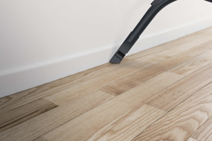 Hoover Vacuum Cleaner | HP105HM 011 | Bagless | Power 700 W | Dust capacity 2 L | Black