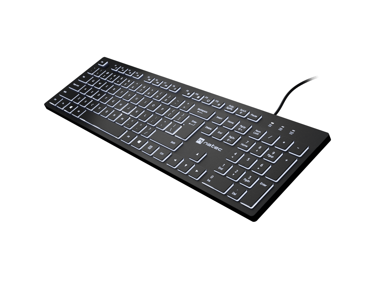 Natec Herring Glow | Keyboard | Wired | US | Black | USB Type-A