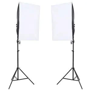 Profesionalūs fotostudijos šviestuvai, 2vnt., 40x60cm