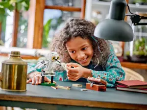 LEGO HARRY POTTER 76425 Hedwig At 4 Privet Drive