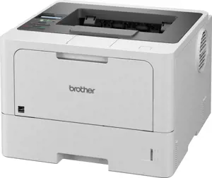 Brother HL L5210DN