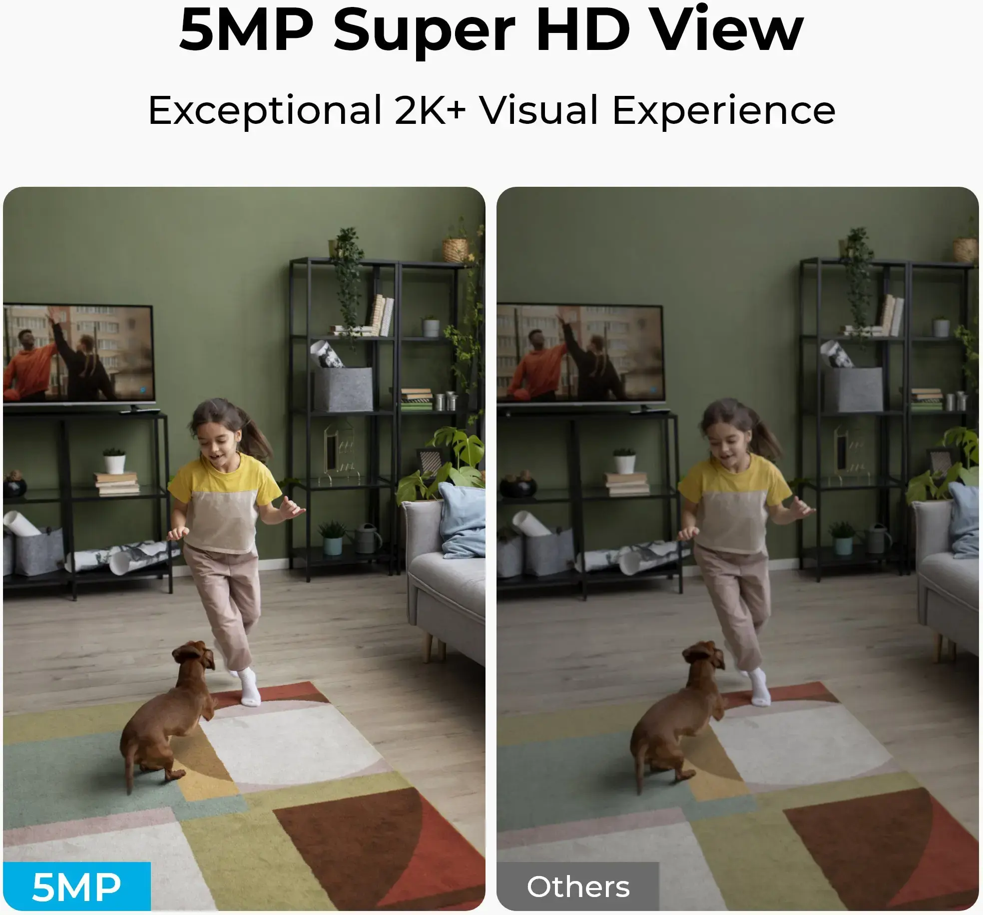Reolink Smart Wi-Fi PT Indoor Security Camera | E331 | PTZ | 5 MP | F4mm/F1.6 | H.264 | Micro SD, Max. 512 GB