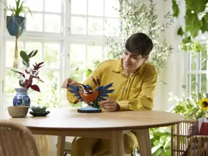 LEGO ICONS 10331 Žuvėdros paukštis