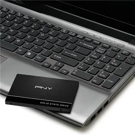 SSD diskas PNY SSD7CS900-250-RB 250 GB, 2.5", Serial ATA III
