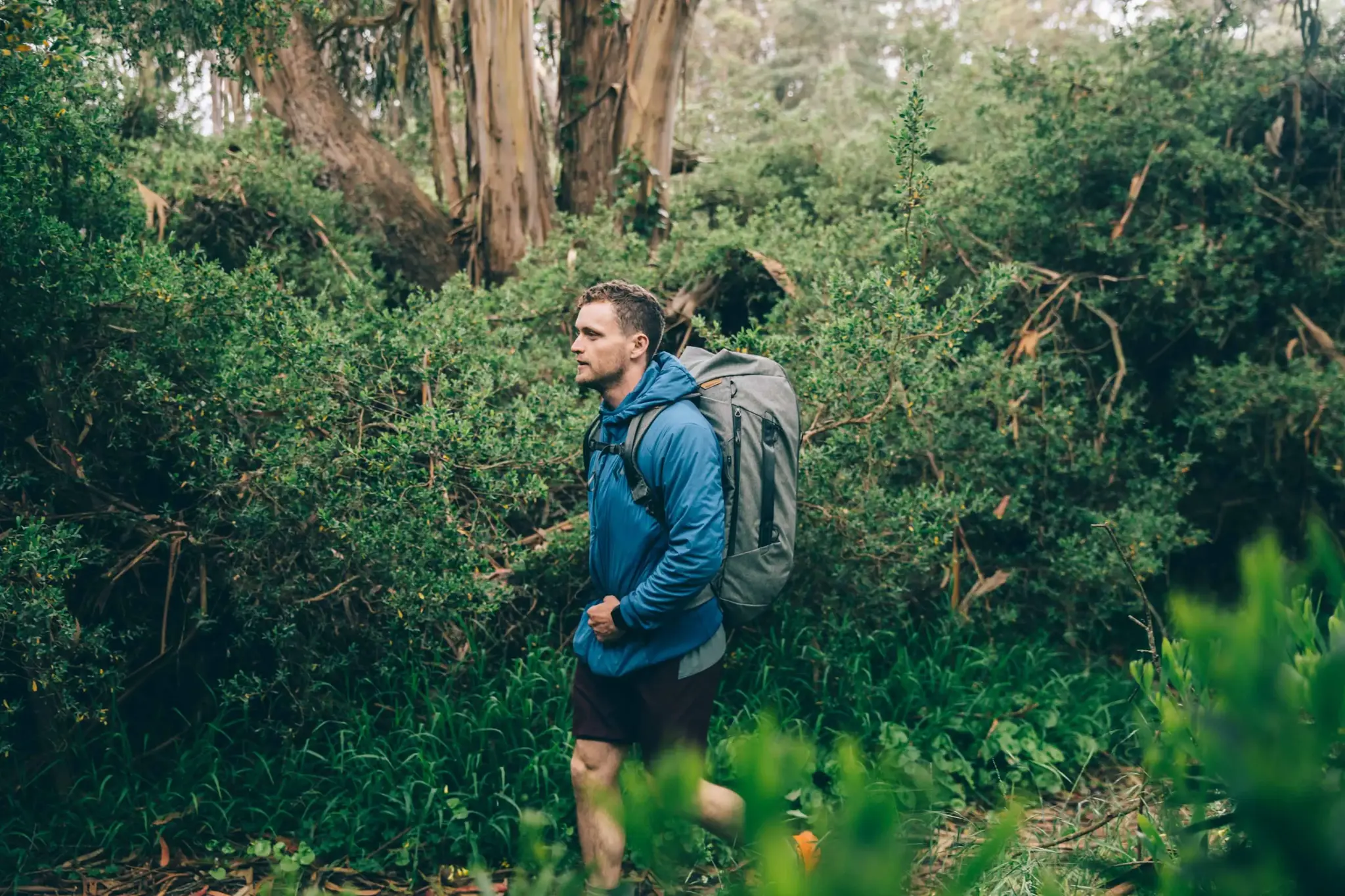 "Peak Design" kuprinė Travel DuffelPack 65L, šalavijas