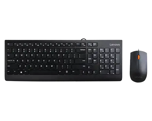 Lenovo 300, Full-size (100%), Wired, USB, QWERTY, Black, Mouse included