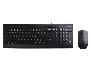 Lenovo 300, Full-size (100%), Wired, USB, QWERTY, Black, Mouse included