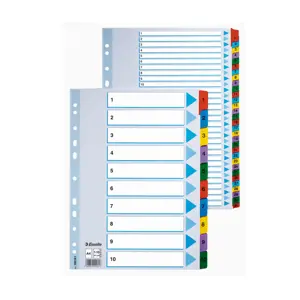 Kartoniniai spalvoti skiriamieji lapai ESSELTE, 1-10, A4