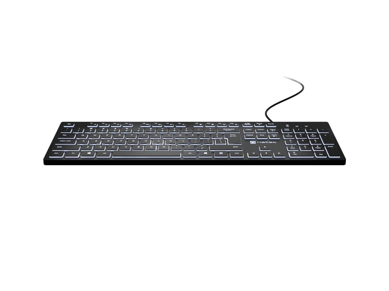 Natec Herring Glow | Keyboard | Wired | US | Black | USB Type-A