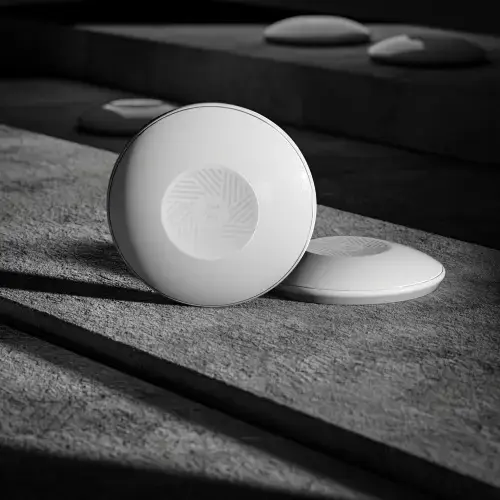 Teltonika TAP100 Belaidės prieigos taškas AP with PSU