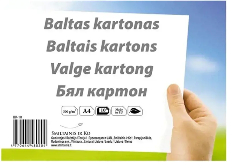 Kartonas SMLT, A4, 300 g, baltas, (10)  0708-101
