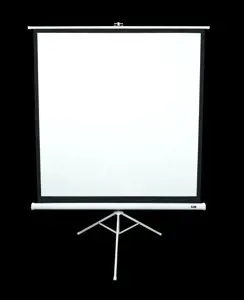 "Elite Screens" ekranų trikojo serijos T113NWS1 įstrižainė 113 ", 1:1, matomas ekrano plotis (W) 203 cm, baltas