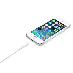 APPLE priedai - "Lightning" ir USB kabelis 2,0 m