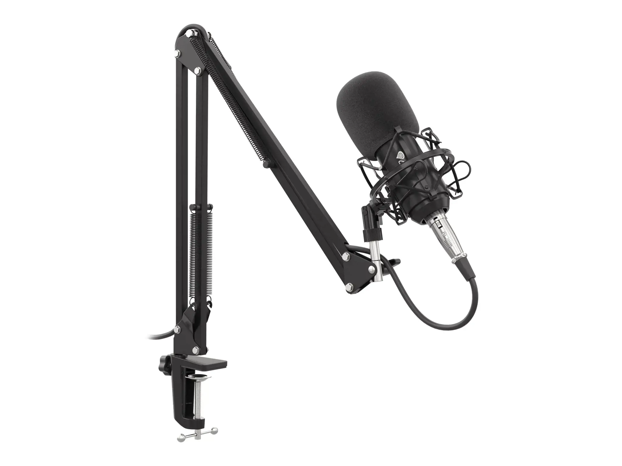 "NATEC Genesis" mikrofonas "Radium 300" studijinis XLR rankos popfilteris