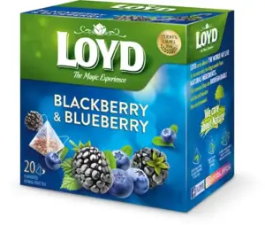 Vaisinė arbata LOYD, gervuogių ir mėlynių skonio, 20 x 2g