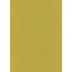 Lipnus popierius A4/10l  PROTOS auksinis