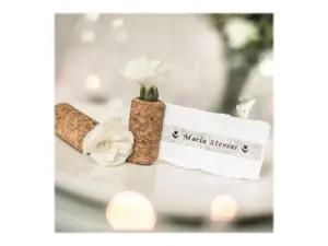 Brother TZE-MPSL31, juoda ant sidabro, TZe, pilka, terminis perkėlimas, blizgus, Brother PT-E110VP