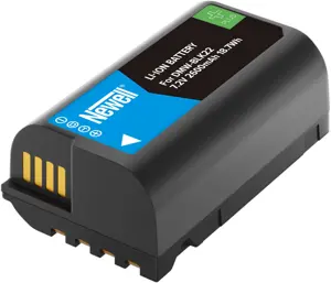 Newell battery Plus Panasonic DMW-BLK22