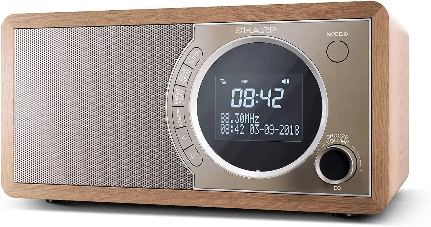 Sharp DR-450, asmeninis, skaitmeninis, DAB, DAB+, FM, 87,5 - 108 MHz, 174,928 - 239,2 MHz, 3 W