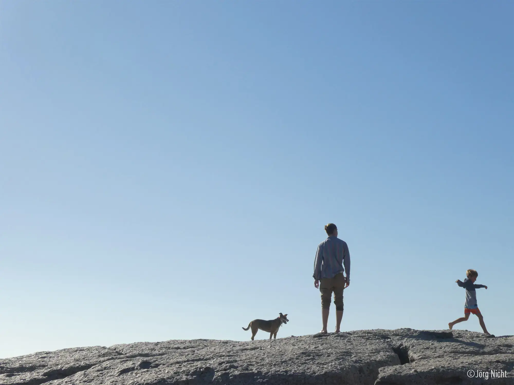 Panasonic Lumix DC-TZ99, black