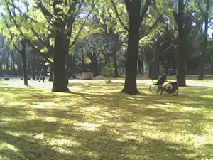 Kenko Toy Camera Pieni M, gray/blue