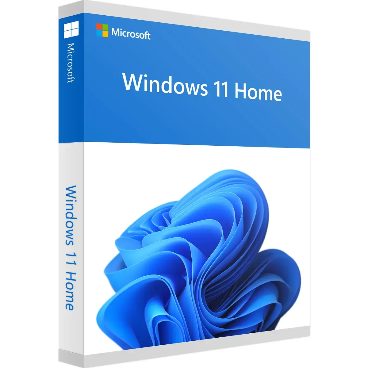 "Microsoft Windows 11 Home", 1 licencija (-os), 64 GB, 4096 GB, 1000 GHz, anglų kalba, DVD